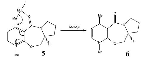 Mechanism for the formation of molecule 6