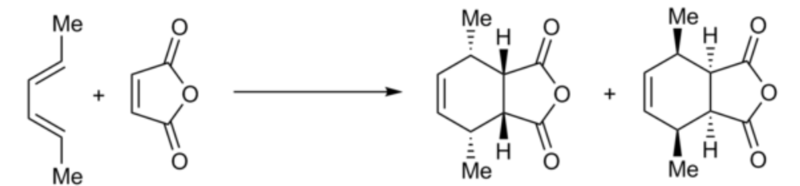 File:Exo endo.jpg