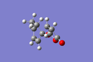 Formation of the Endo Product