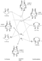 Thumbnail for version as of 16:48, 17 December 2017