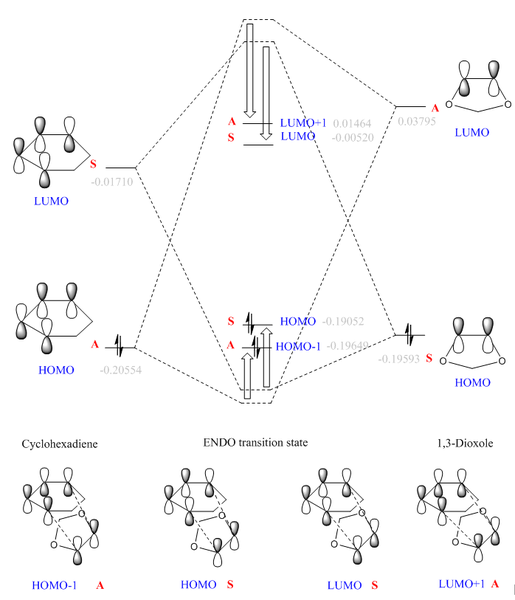 File:XP715 Endo MO.png