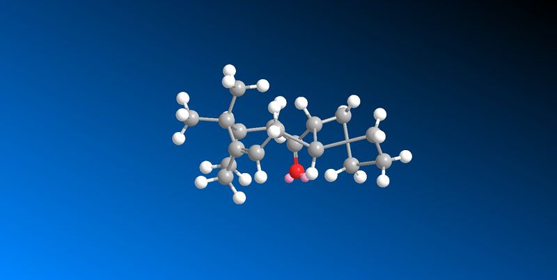 File:Taxol Isomer 10.1 TwistBoat.jpg
