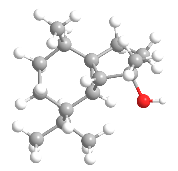 File:CCubolPM6ram209.png