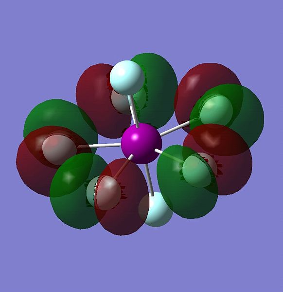 File:IF7 HOMO.jpg