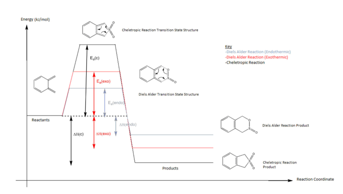 exercise 3 reactionpathway