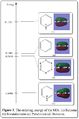 Thumbnail for version as of 13:01, 16 October 2013