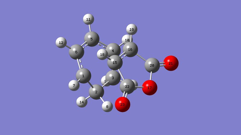 File:Numbered ENDO TS 1.jpg