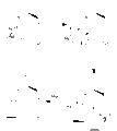 Thumbnail for version as of 17:58, 23 November 2008