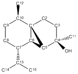 File:Roguezimbominiprojectnm.bmp
