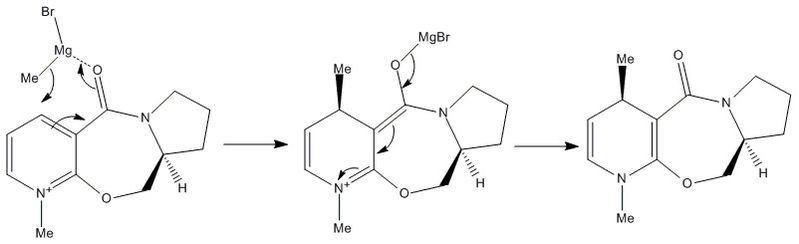 File:5 MECH.jpg