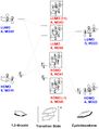 Thumbnail for version as of 13:45, 8 February 2018
